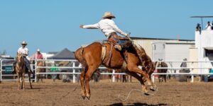 Bronco rider mastering his horse and ebitda